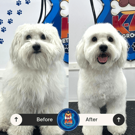 Beige Minimalist Skincare Before and After Instagram Post_20240621_011633_0000