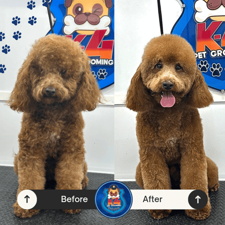 Beige Minimalist Skincare Before and After Instagram Post_20240629_111508_0000