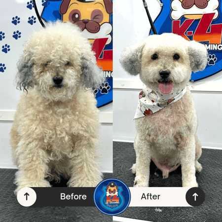 Beige Minimalist Skincare Before and After Instagram Post_20240702_135230_0000