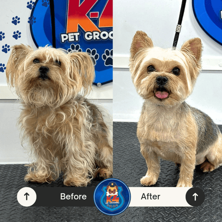 Beige Minimalist Skincare Before and After Instagram Post_20240702_135349_0000